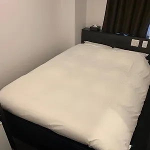 ホテル ナゴヤエキ　アクセスホテル ***